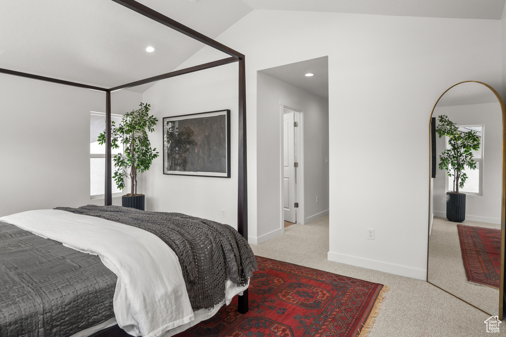 Carpeted bedroom featuring lofted ceiling and multiple windows