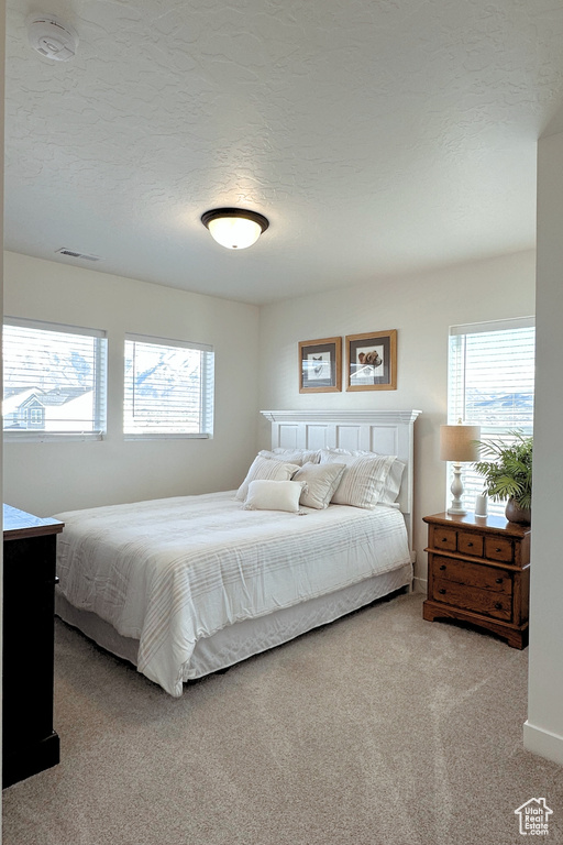 Bedroom featuring light colored carpet, multiple windows, and a textured ceiling