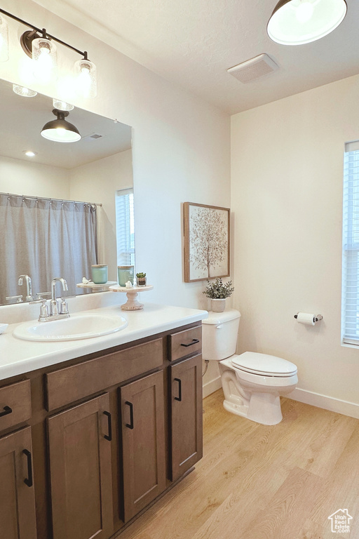 Bathroom featuring vanity, hardwood / wood-style flooring, and toilet