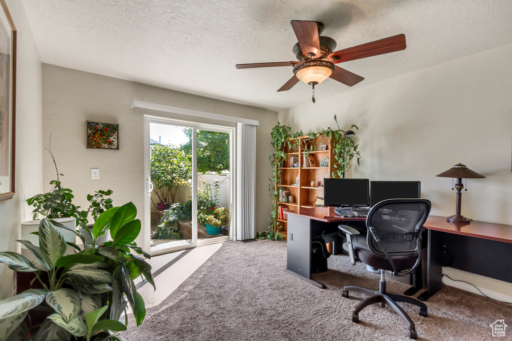 Office space with light colored carpet, ceiling fan, and a textured ceiling