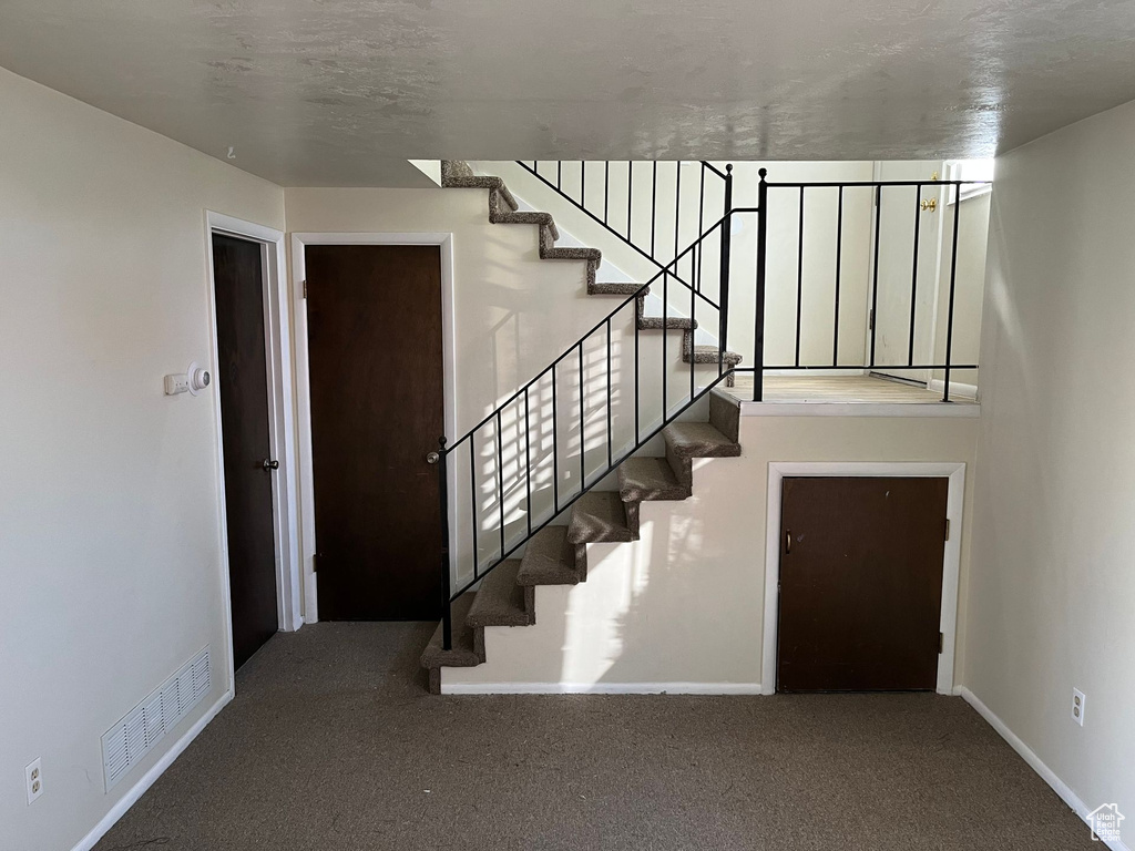 Stairs featuring carpet