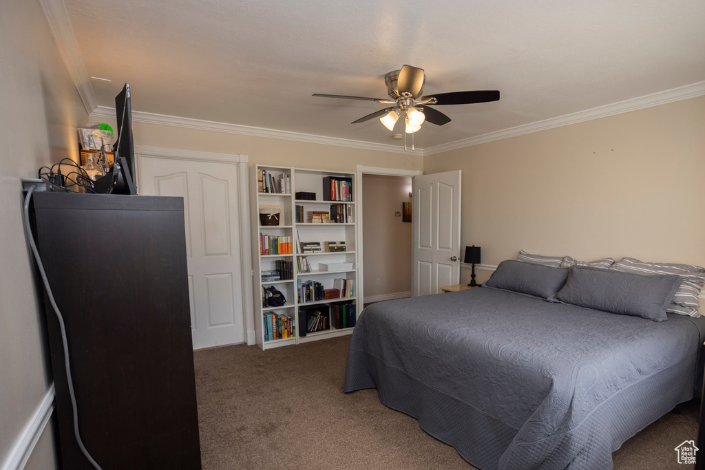 Bedroom with ceiling fan, crown molding, and dark colored carpet