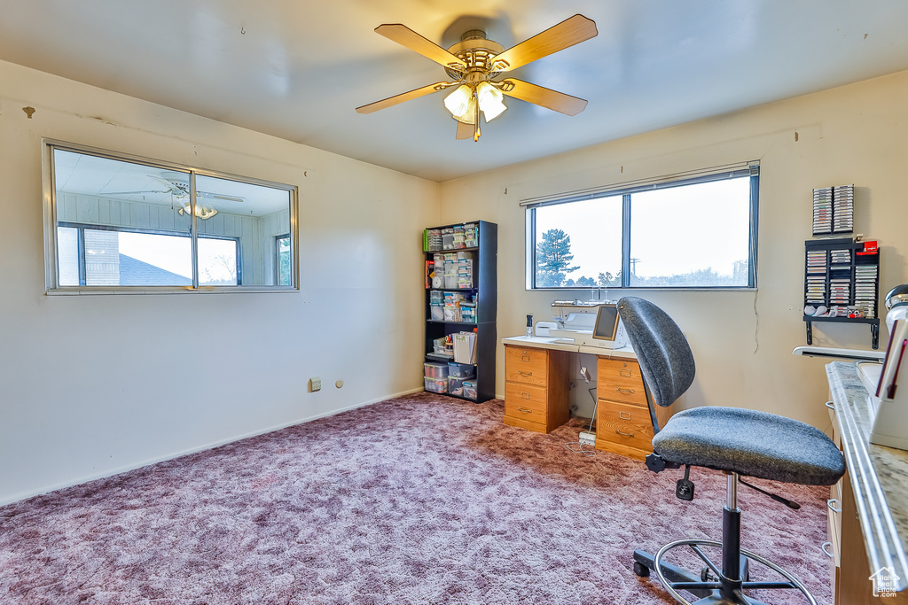 Unfurnished office with plenty of natural light, carpet flooring, and ceiling fan