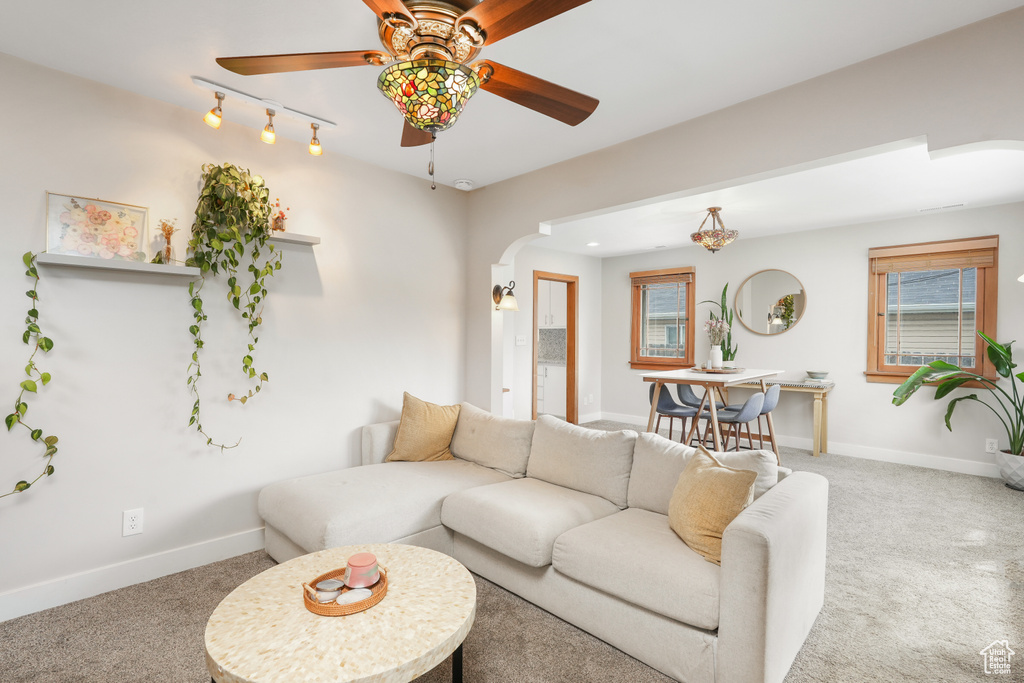 Carpeted living room featuring a wealth of natural light, ceiling fan, and track lighting