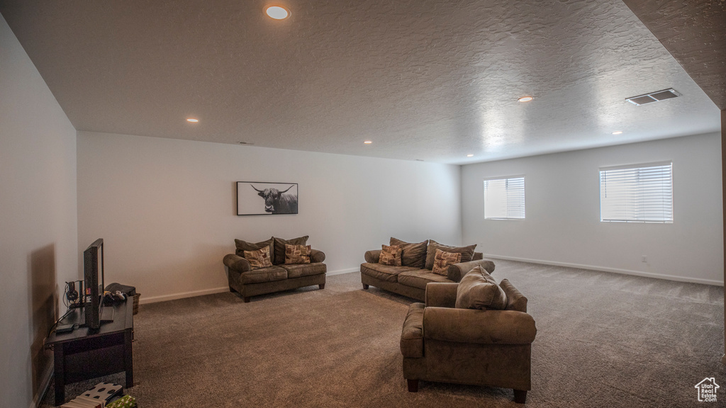 Living room featuring dark carpet and a textured ceiling