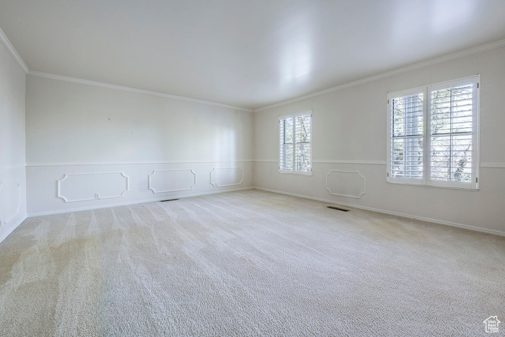 Unfurnished room with ornamental molding, plenty of natural light, and light carpet