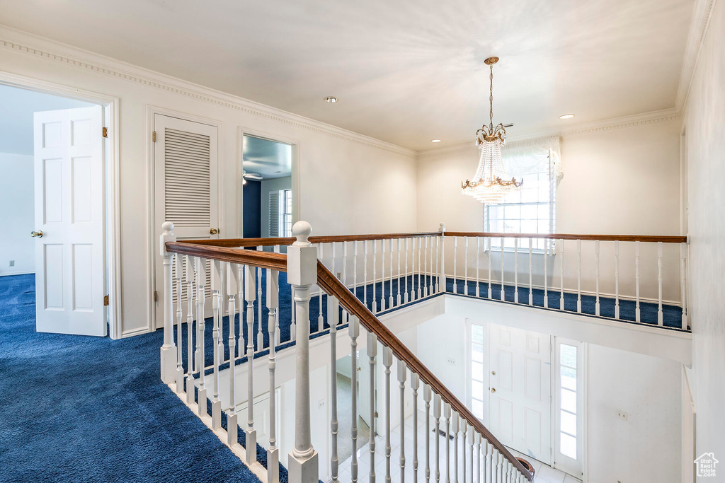 Stairs featuring an inviting chandelier, crown molding, and dark colored carpet