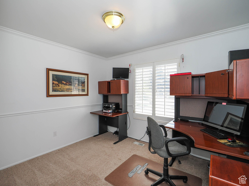 Office area featuring ornamental molding and light colored carpet