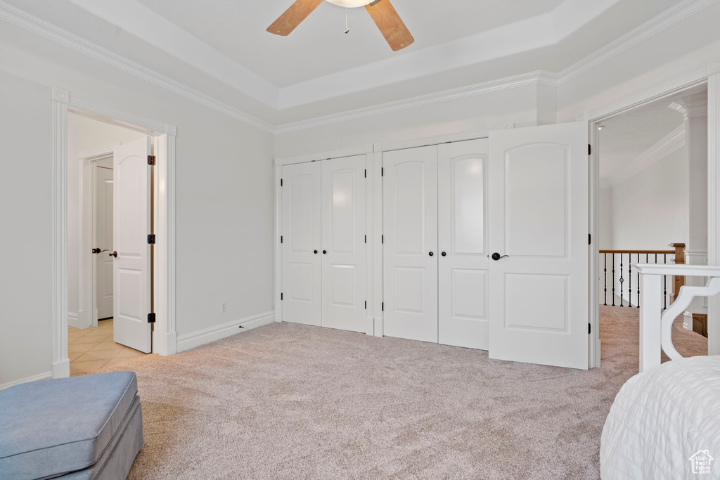 Carpeted bedroom featuring crown molding, multiple closets, ceiling fan, and a tray ceiling