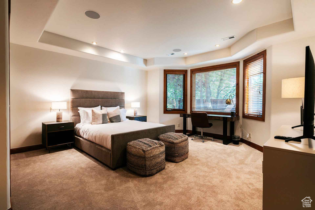 Carpeted bedroom featuring a tray ceiling