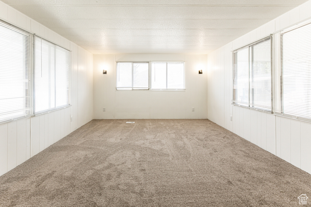 Carpeted empty room featuring a textured ceiling and a healthy amount of sunlight
