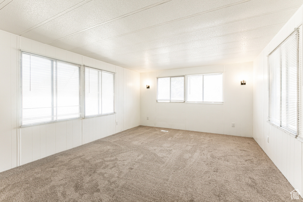 Empty room with a textured ceiling, light colored carpet, and a healthy amount of sunlight