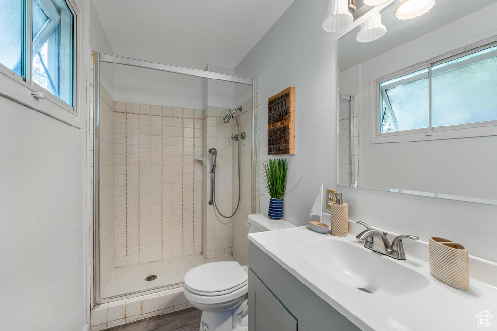 Bathroom with plenty of natural light, an enclosed shower, toilet, and vanity