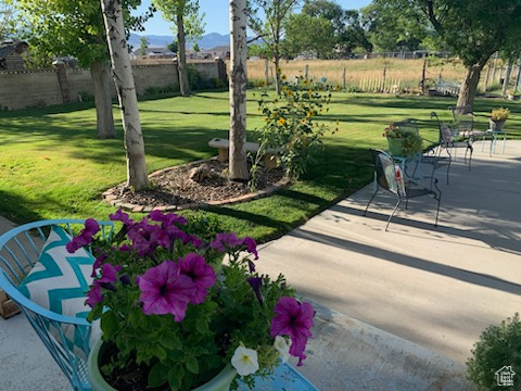 Surrounding community with a patio and a lawn