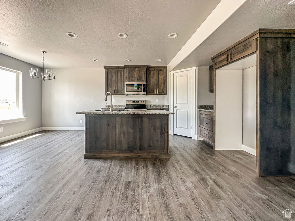 Kitchen featuring appliances with stainless steel finishes, dark brown cabinetry, and hardwood / wood-style floors