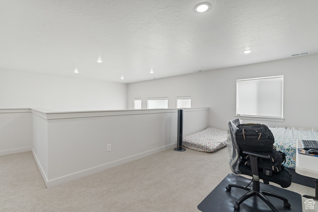 Office featuring light colored carpet and a textured ceiling
