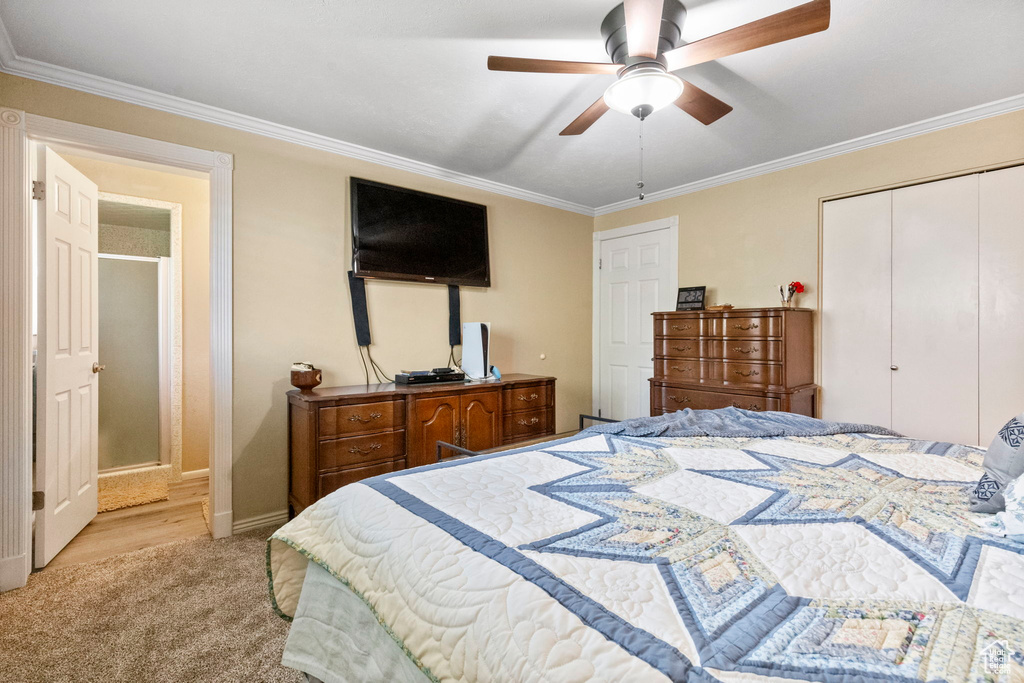 Carpeted bedroom featuring a closet, ceiling fan, and ornamental molding