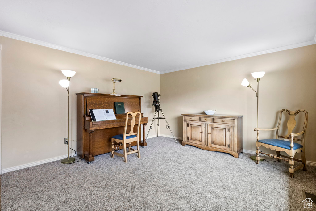 Office area with light carpet and ornamental molding