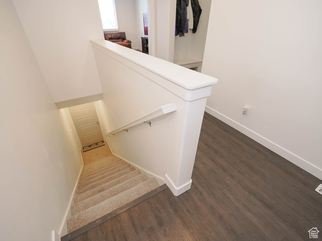 Staircase featuring dark hardwood / wood-style flooring