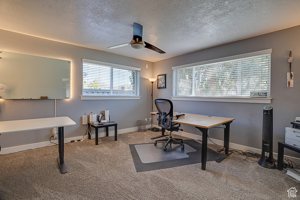 Office featuring ceiling fan, carpet floors, and a textured ceiling