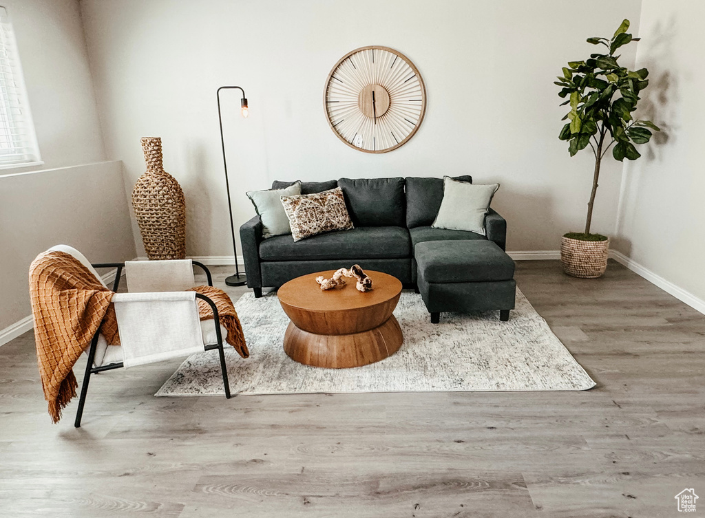 Living room featuring wood-type flooring