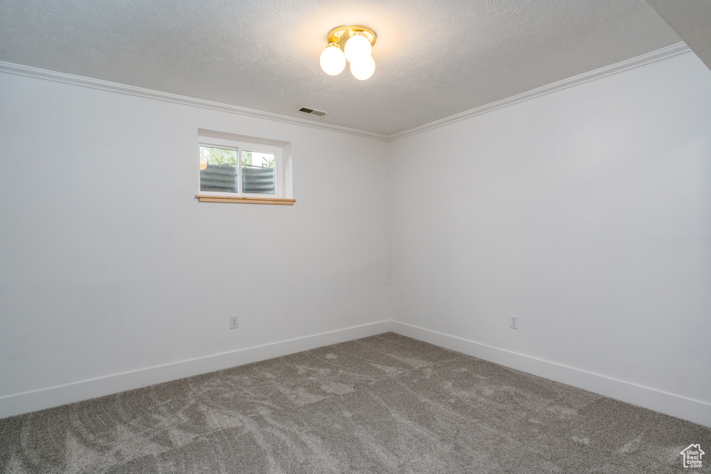 Carpeted empty room with ornamental molding and a textured ceiling