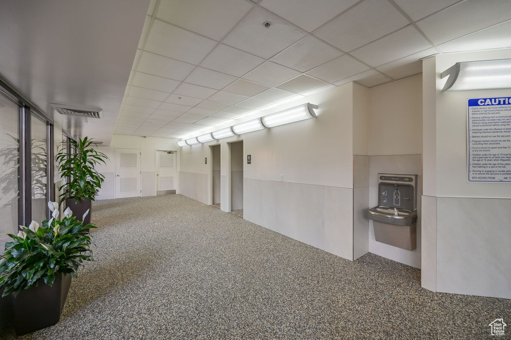 Basement featuring a drop ceiling, carpet flooring, and elevator