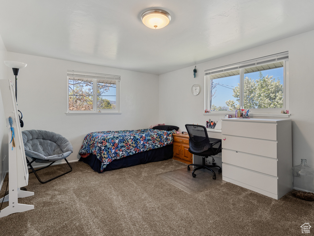 Bedroom featuring carpet and multiple windows