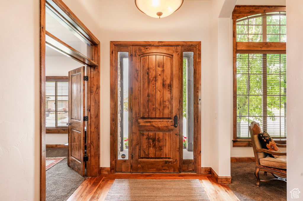 Foyer entrance with dark hardwood / wood-style flooring
