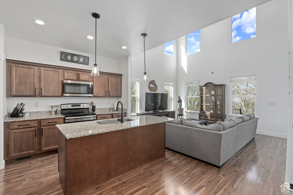 Kitchen with a wealth of natural light, appliances with stainless steel finishes, dark hardwood / wood-style floors, and a high ceiling
