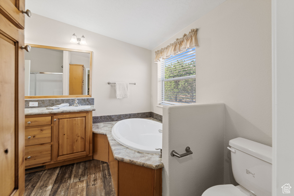 Bathroom featuring toilet, vanity, hardwood / wood-style floors, and a bath