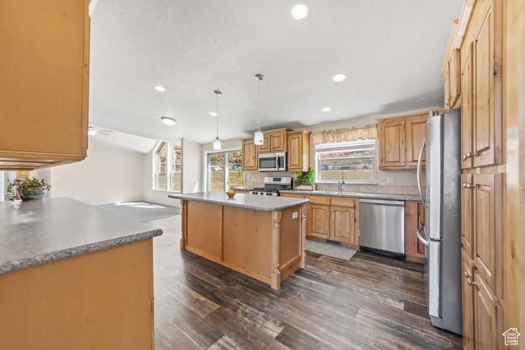 Kitchen with appliances with stainless steel finishes, dark hardwood / wood-style floors, pendant lighting, and a healthy amount of sunlight