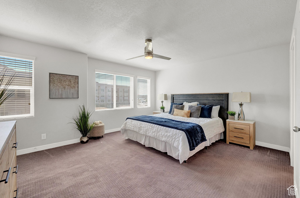 Carpeted bedroom with ceiling fan, a textured ceiling, and multiple windows