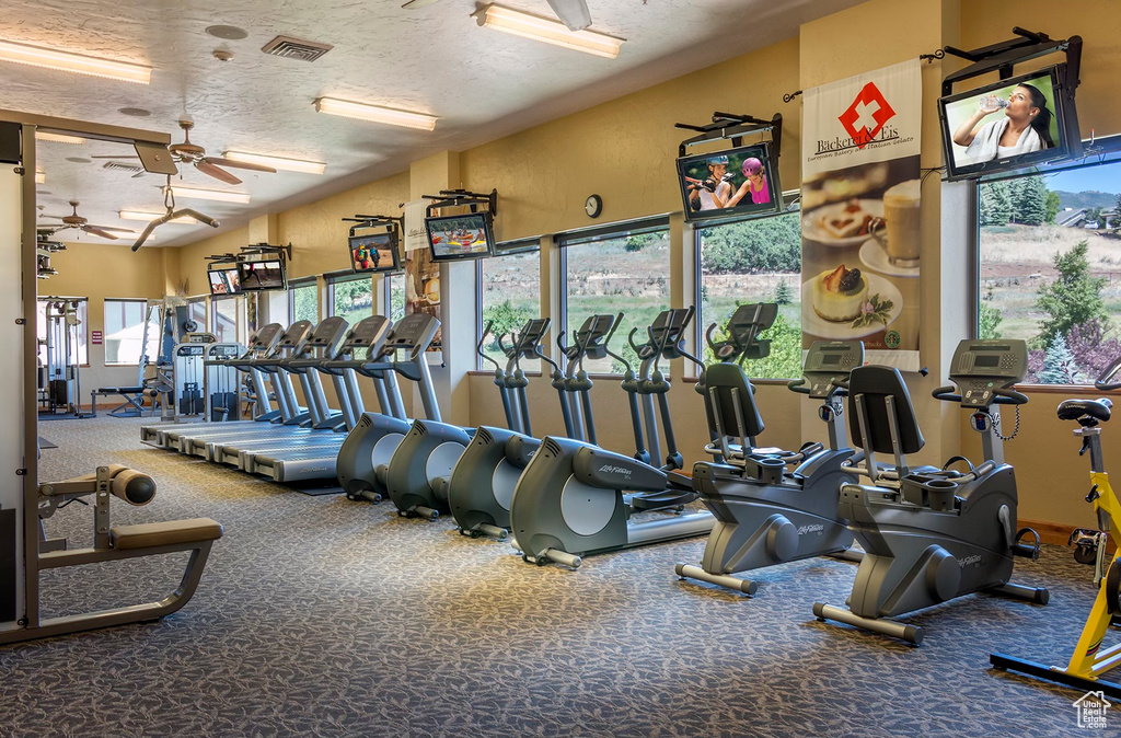 Workout area featuring a textured ceiling, carpet floors, and ceiling fan
