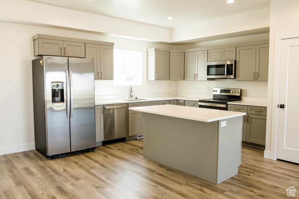 Kitchen with a center island, light wood-type flooring, gray cabinetry, stainless steel appliances, and sink