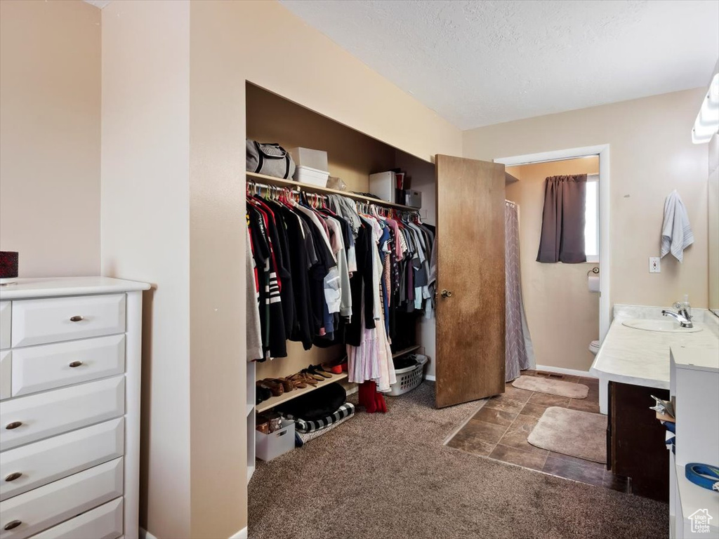 Spacious closet with sink and dark carpet