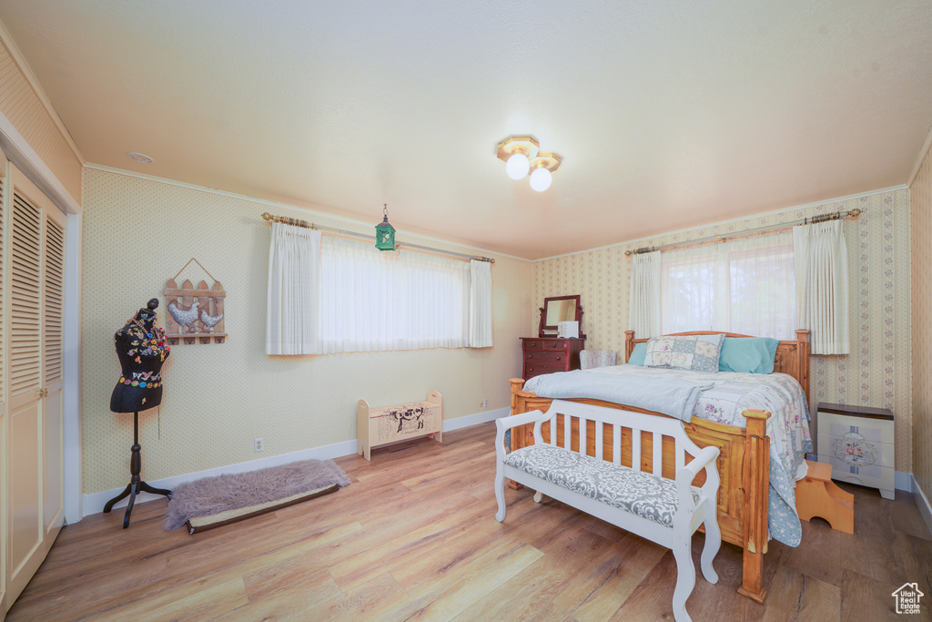 Bedroom with light hardwood / wood-style flooring and multiple windows