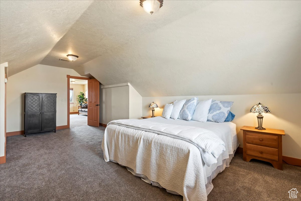 Carpeted bedroom with vaulted ceiling and a textured ceiling