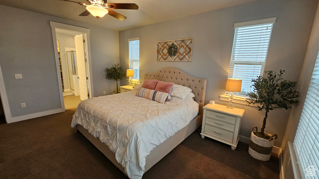Bedroom featuring dark colored carpet, ceiling fan, ensuite bathroom, and multiple windows