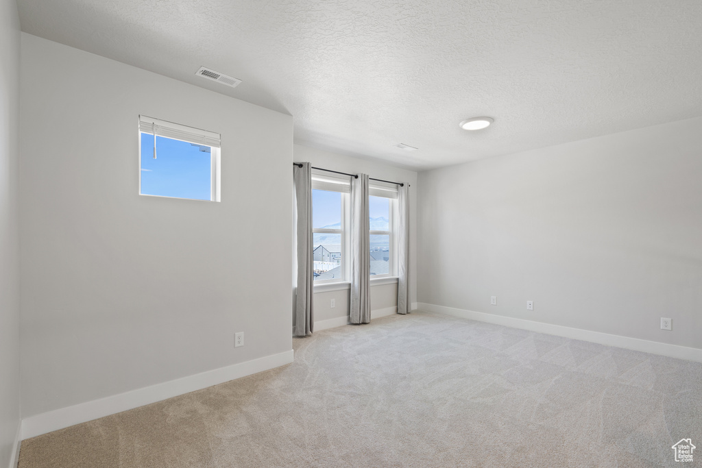 Spare room with light colored carpet, a healthy amount of sunlight, and a textured ceiling