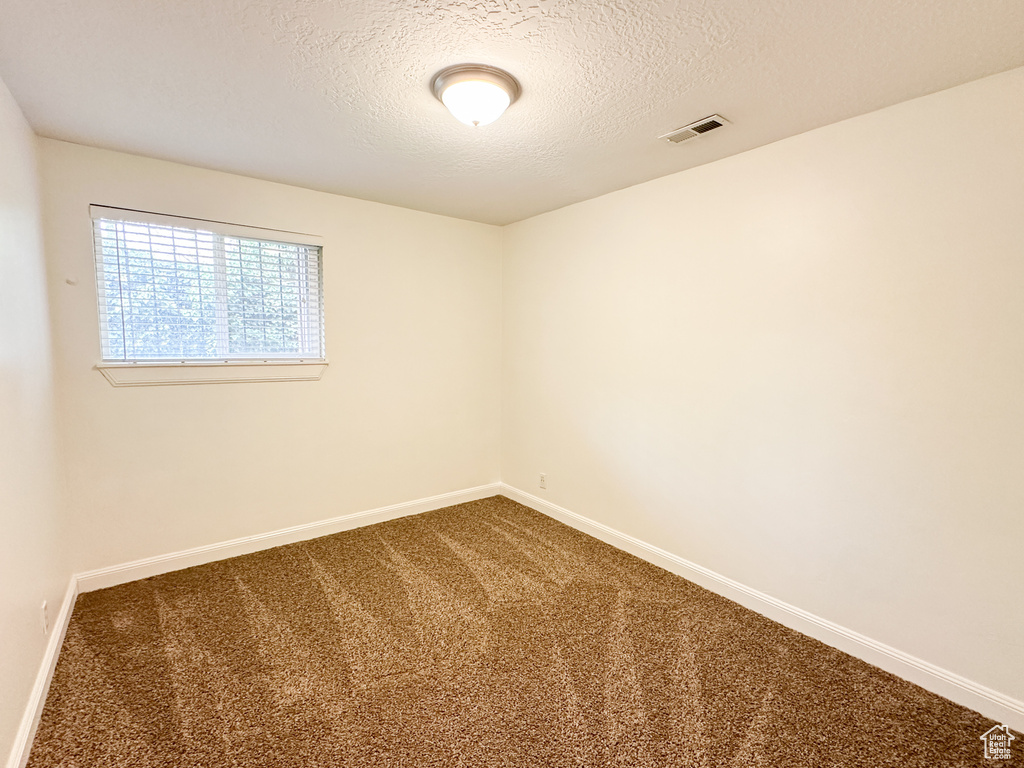 Unfurnished room with carpet flooring and a textured ceiling