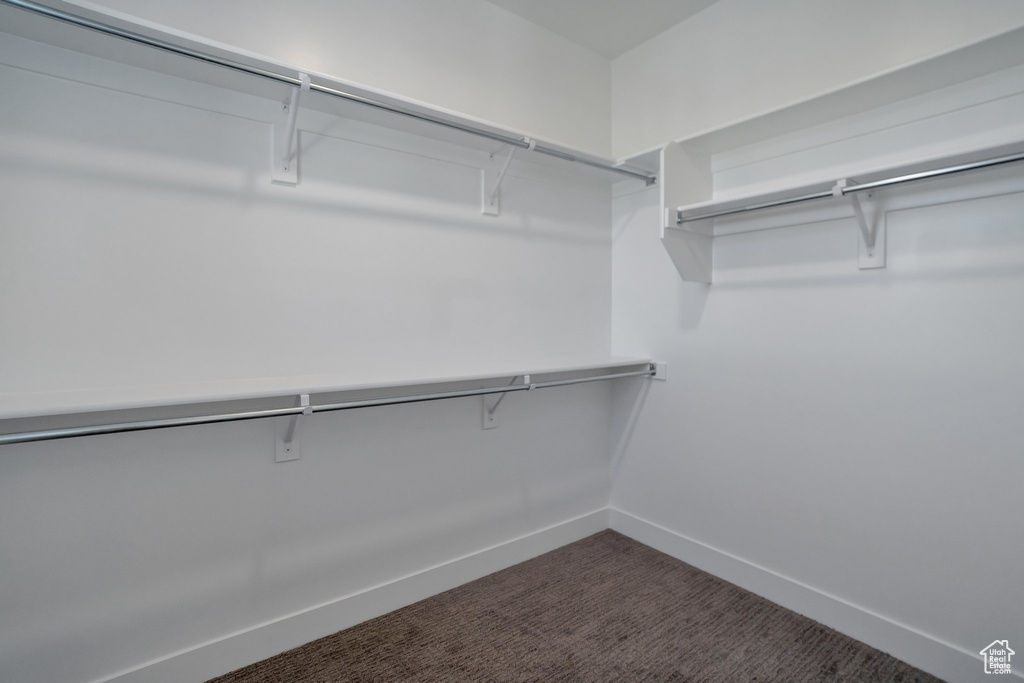 Spacious closet featuring dark colored carpet