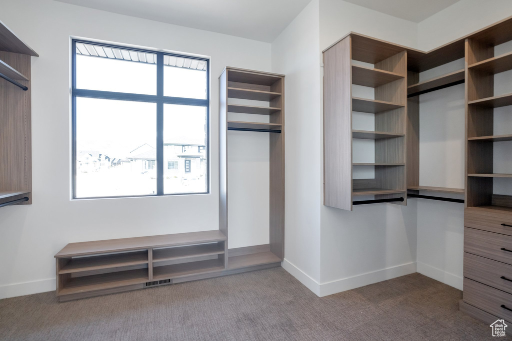 Spacious closet featuring carpet floors