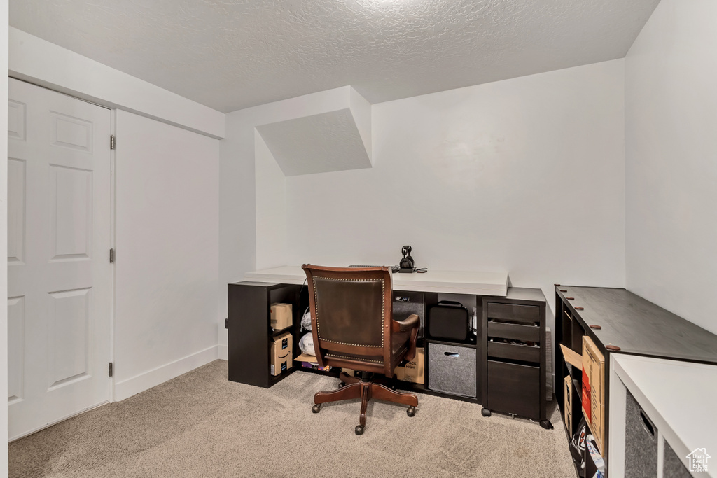Office area with light colored carpet and a textured ceiling