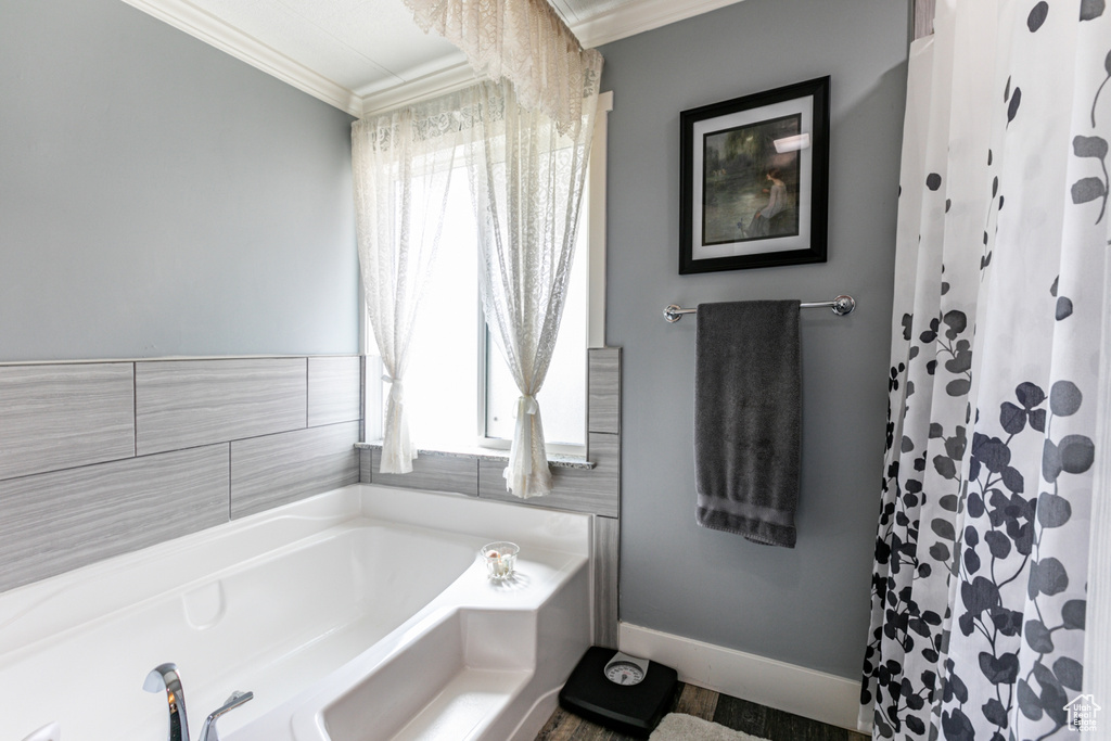 Bathroom with ornamental molding, a bathtub, and a wealth of natural light