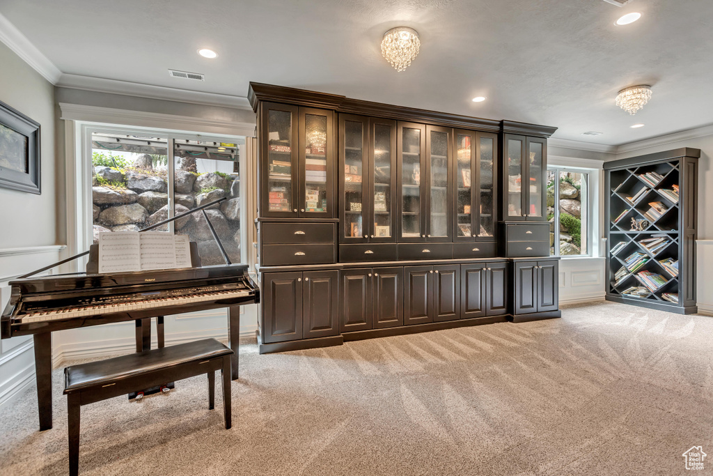 Bar with light carpet, dark brown cabinets, and crown molding