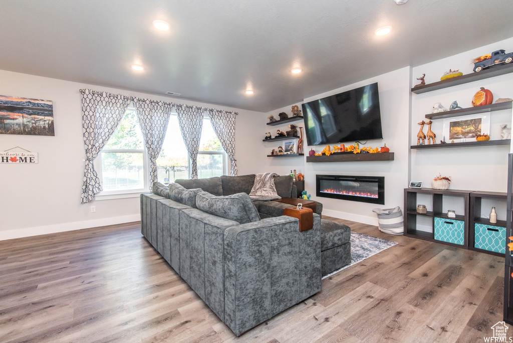 Living room featuring hardwood / wood-style floors