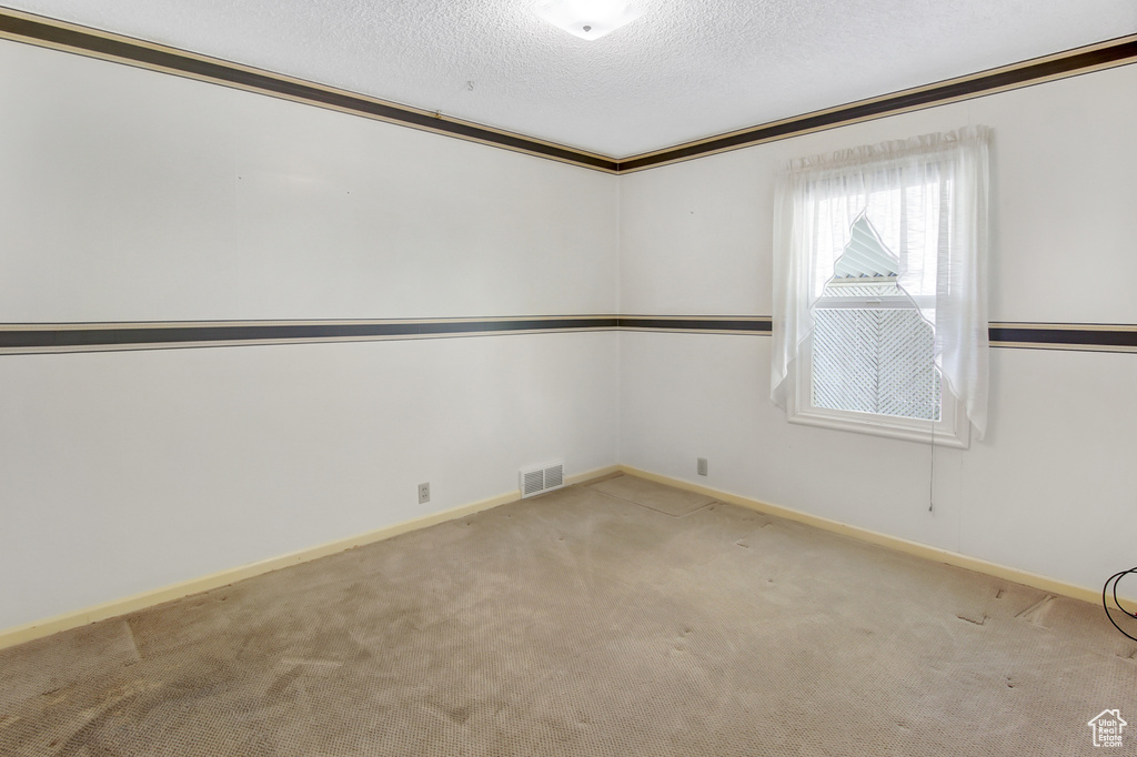 Unfurnished room with a textured ceiling, light carpet, and crown molding