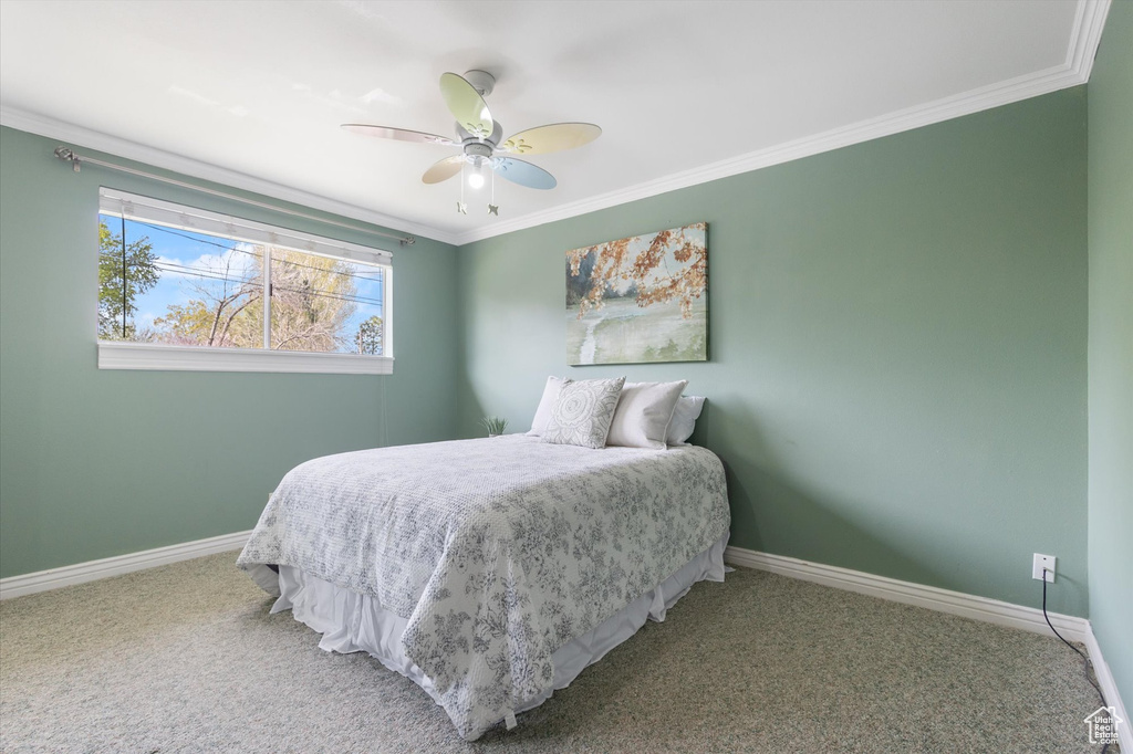 Bedroom featuring ceiling fan, carpet, and crown molding