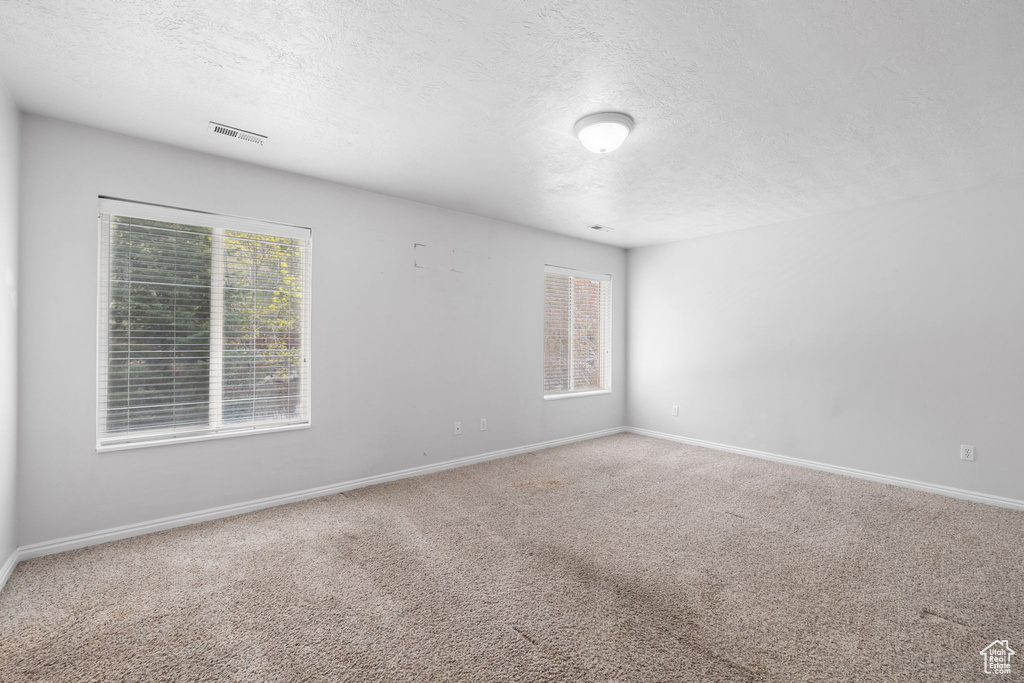 Carpeted spare room featuring a healthy amount of sunlight and a textured ceiling